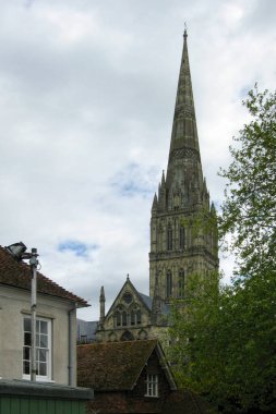 Salisbury Katedrali (İngilizce: 