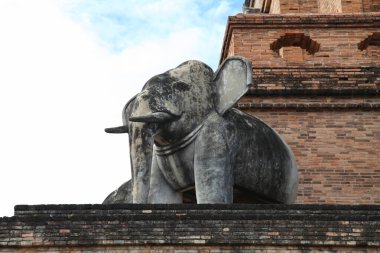 Chiang Mai 'de Wat Chedi Luang seviyesinde bir taş fil.