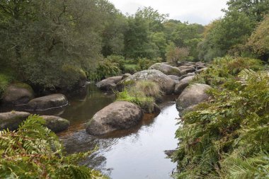 Mardoul 'un kaosu Ellez nehri boyunca, kuzey kıyısında Brennelis' te ve güney kıyısında, Finistere, Loqueffret 'te,.
