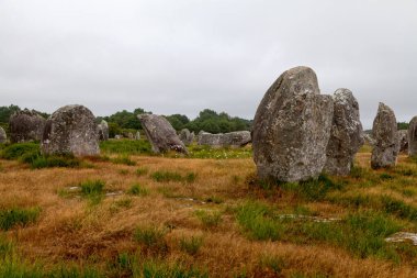 Carnac taşları, Brittany 'deki Carnac köyü etrafındaki son derece yoğun bir megalitik yerleşim birikimidir, hizalama, dolmens, tumuli ve tek menhir içerir..