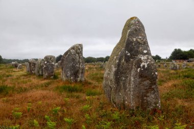 Carnac taşları, Brittany 'deki Carnac köyü etrafındaki son derece yoğun bir megalitik yerleşim birikimidir, hizalama, dolmens, tumuli ve tek menhir içerir..