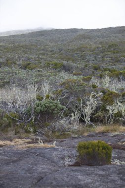 Fotoğraf, Reunion Adası 'ndaki Roche Ecrite (2,276 metre) adlı dağın tepesinde, yaklaşık 2 bin 100 metre yükseklikte çekildi. Bulutlar çoktan tepeye ulaştı..