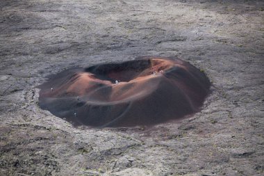 Formica Leo, karınca tarafından inşa edilen çukura benzer şekliyle adlandırılan, Hint Okyanusu 'ndaki Reunion Adası' nın doğu tarafında aktif bir volkan olan Piton de la Fournaise 'in küçük volkanik krateridir..