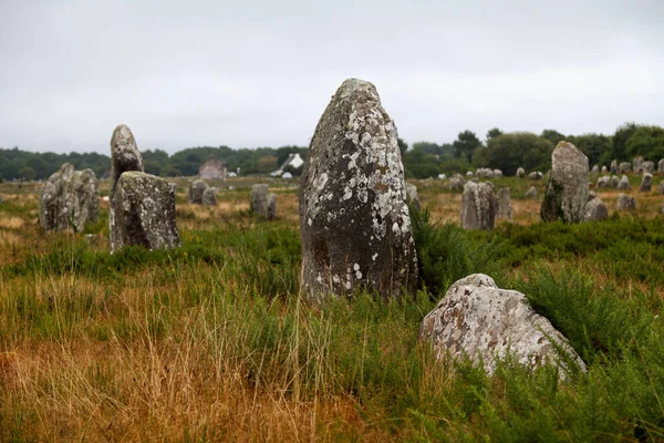The Carnac stones are an exceptionally dense collection of megalithic sites around the village of Carnac in Brittany, consisting of alignments, dolmens, tumuli and single menhirs.