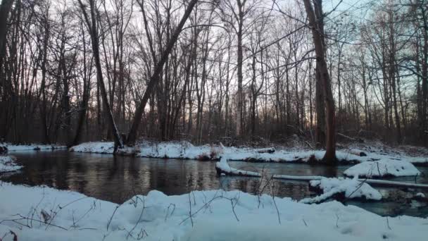 Úzká Řeka Tekoucí Zasněženým Lesem Zimě — Stock video