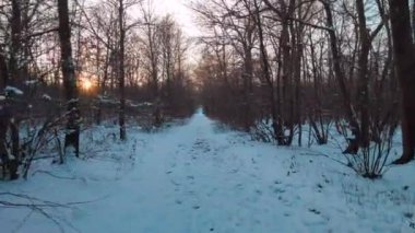 Kışın öğleden sonra, kar ve donla kaplı bir ormanda bir patikada yürümek..