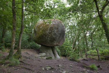 Mantar (Breton 'da Ar C' habell-touseg), Huelgoat ormanında bulunan etkileyici bir granit bloğudur. 200 tondan daha ağırdır ve şaşırtıcı bir sese sahiptir..