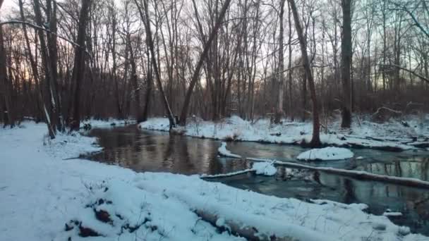 Wąska Rzeka Przepływająca Zimą Przez Zaśnieżony Las — Wideo stockowe