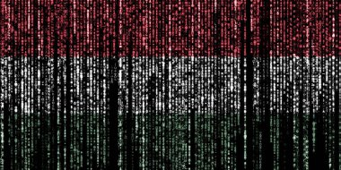 Bilgisayar ikili kodlarında Macaristan bayrağı tepeden düşüyor ve kayboluyor.