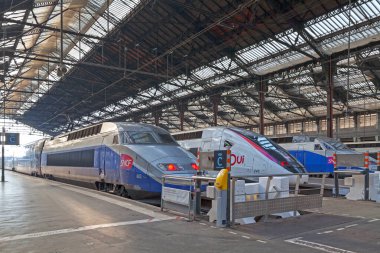 Paris, Fransa - 26 Mart 2019: Gare de Lyon 'da televizyonlar kalkışa hazır.