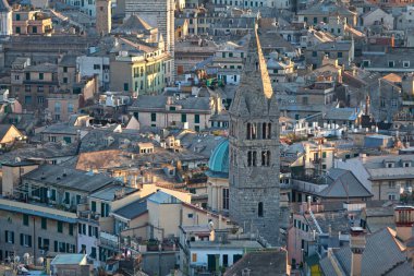 Santa Maria delle Vigne, İtalya 'nın Cenova kentinde yer alan bir Roma Katolik kilisesidir..