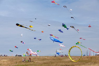 Porspoder, Fransa - 23 Temmuz 2022: Esti 'vent Saint-Laurent yarımadasının önünde her yıl düzenlenen rüzgar ve uçurtma festivali.