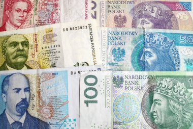 Bulgar lev ve Polonya Zloti yığınına yakın çekim.