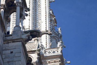 Notre Dame De Paris 'in heykellerinden birinin altından bak.