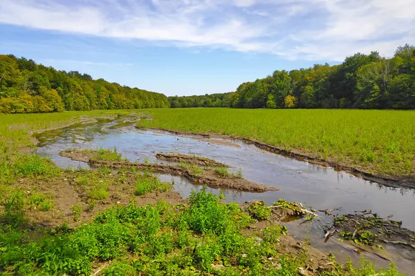 Stock image Drying of the Etang Chapron in the Etangs de Commelles to fight against the silting up of the places.