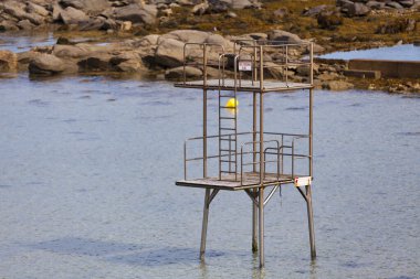 Roscoff, Brittany 'deki Roc' h Kroum plajında dalış tahtası.