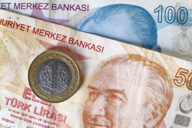 100 TL 'lik banknotun üzerine yakın plan çek (Dene).
