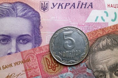 Arkaplan olarak Ukrayna Hryvnia parası ve banknotları.