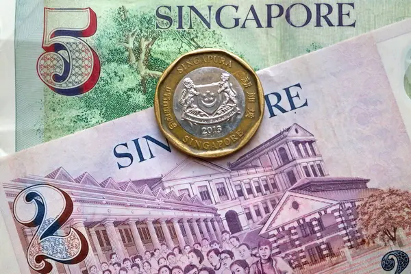 Arka plan olarak Singapur doları ve banknotları.