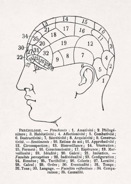Her biri belirli zihinsel yeteneklere ya da karakter özelliklerine karşılık gelen sayılı bölümlere ayrılmış bir insan kafasının profilini gösteren bir frenoloji diyagramı. 19. yüzyılın sonlarında Fransızca bir sözlükte basılmış..