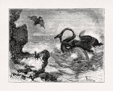 Edouard Riou 'nun, Jules Verne' in 