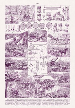 Jacques Maurice Dessertenne 'in 19. yüzyılın sonlarında yayınladığı, Ormandan Değirmene Odun Kesme (odun Taşıma) hakkında Duotone çizimi.