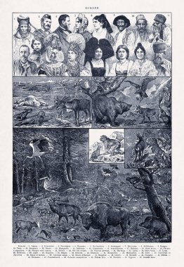 Adolphe Philippe Millot 'un 19. yüzyılın sonlarında yayımlanan bir Fransızca sözlükte Avrupa' nın harikalarını konu alan Duotone illüstrasyonu.