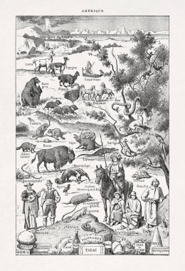 Bir Fransızca sözlükte Amerika 'nın harikalarıyla ilgili bir ilüzyon. 19. yüzyılın sonlarındaki dünyayı tasvir ediyor..
