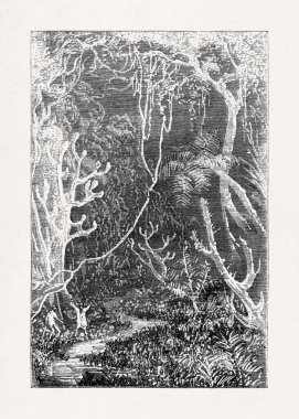 Profesör Lidenbrock ve Axel 'in Jules Verne' in 