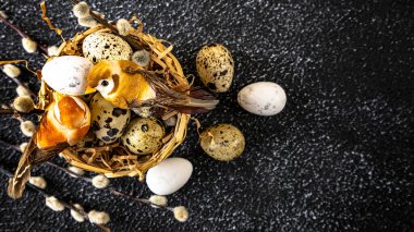 Karanlık bir arka planda paskalya kompozisyonu. Paskalya bıldırcın yumurtaları ve kuşları olan bir yuva. Dekor olarak söğüt dalları. Yukarıdan görüntüle.