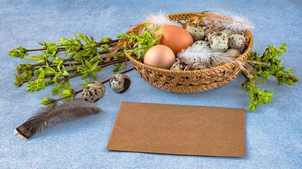Easter background with a basket of chicken and quail eggs, feathers, green branches and an envelope on a blue background. Place for text, top view