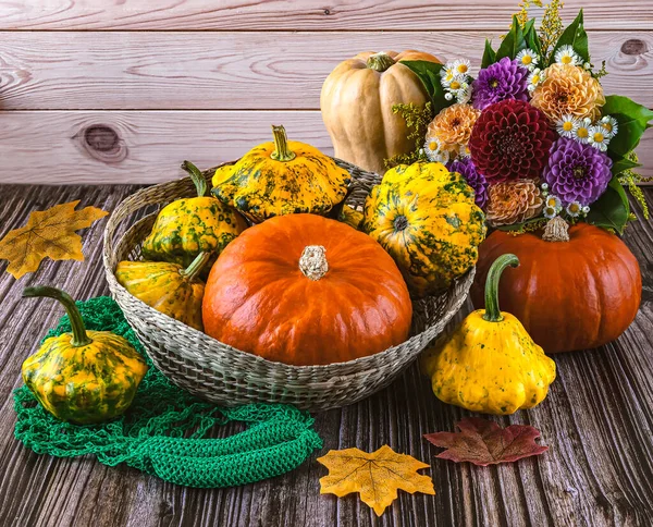 Autumn Still Life Harvest Ripe Pumpkins Straw Basket Autumn Leaves — Stock Photo, Image