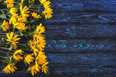 Koyu renk panoların arka planında sarı sonbahar çiçekleri, ahşap üzerinde mavi desenli, üst manzara.