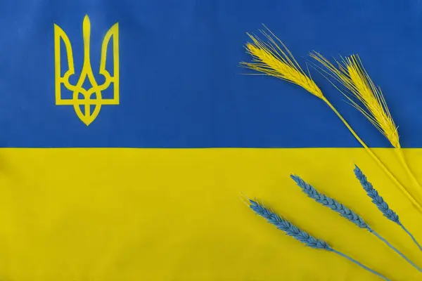 Σημαία Ουκρανίας Και Εθνόσημο Τρίαινα Ύφασμα Μπλε Και Κίτρινες Ρίγες — Φωτογραφία Αρχείου