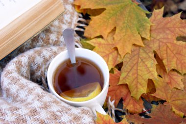 Bir fincan sıcak çay ve eski bir kitap. Sonbahar. Bir sürü dökülen yaprak. Ruh hali.