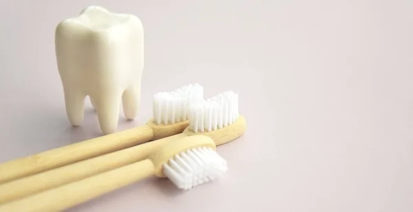 Οδοντόβουρτσες Μια Μικρή Μορφή Δοντιού Ελαφρύ Φόντο Έννοια Υγείας Οδόντων — Φωτογραφία Αρχείου