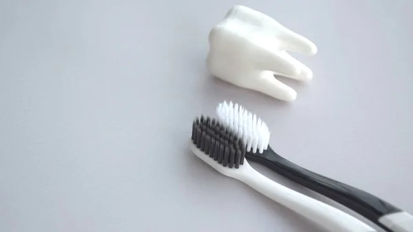 Escovas Dentes Com Uma Pequena Figura Dente Contexto Leve Conceito — Fotografia de Stock