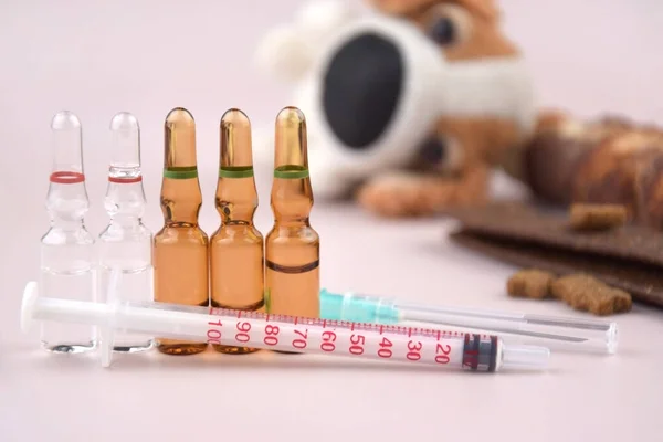 Spruta Med Ampuller Mjuk Hundleksak Och Godis Begreppet Vikten Vaccinering — Stockfoto