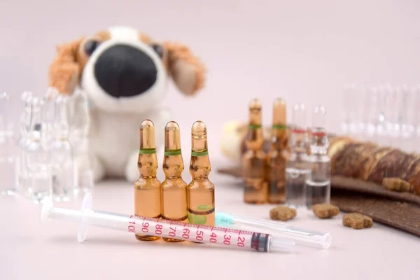 Syringe with ampoules, soft dog toy and treats. The concept of the importance of pet vaccination, care.