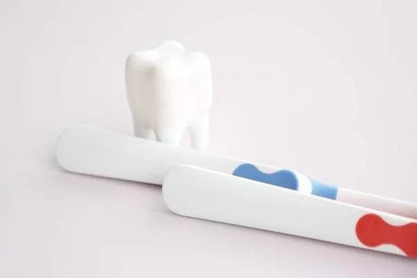 Toothbrushes Small Figure Tooth Light Background Dental Health Concept — Stok Foto