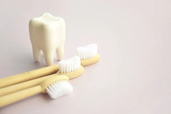 Οδοντόβουρτσες Μια Μικρή Μορφή Δοντιού Ελαφρύ Φόντο Έννοια Υγείας Οδόντων — Φωτογραφία Αρχείου