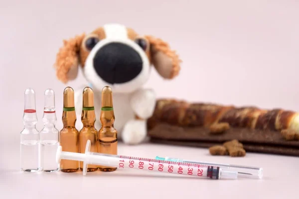 Injekční Stříkačka Ampulkami Hračkou Lahůdkami Pro Psy Koncept Významu Očkování — Stock fotografie