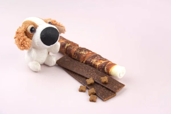 Myk Leke Hunder Behandler Lys Bakgrunn Begrepet Betydningen Vaksinering Mot – stockfoto