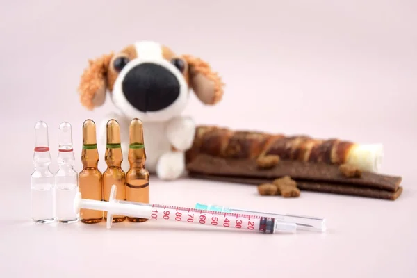 Syringe with ampoules, soft dog toy and treats. The concept of the importance of pet vaccination, care.