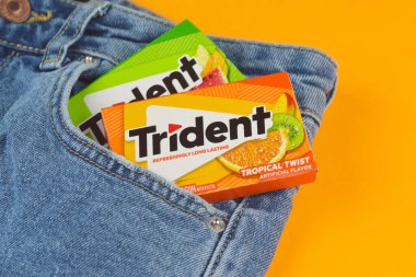 Kharkiv, Ukrayna - 10 Şubat 2023: Kotun arka planında üç çatallı sakız.