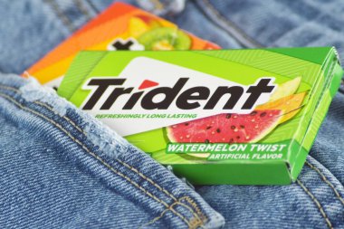 Kharkiv, Ukrayna - 10 Şubat 2023: Kotun arka planında üç çatallı sakız.