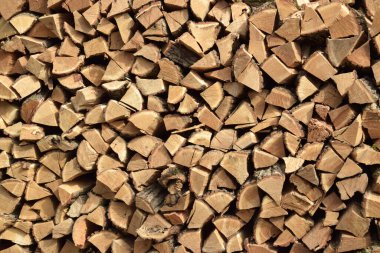 Kesilen ağaç bir yığın halinde yığıldı. Kış için hazırlık.