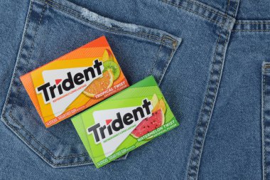 Kharkiv, Ukrayna - 10 Şubat 2023: Kotun arka planında üç çatallı sakız.