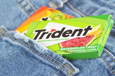 Kharkiv, Ukrayna - 10 Şubat 2023: Kotun arka planında üç çatallı sakız.