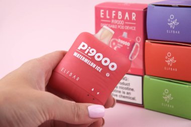 KHARKOV, UKRAINE - 17 Ağustos 2024: Zevkli bir şeye sahip birçok Elfbar kullan-at kalem.